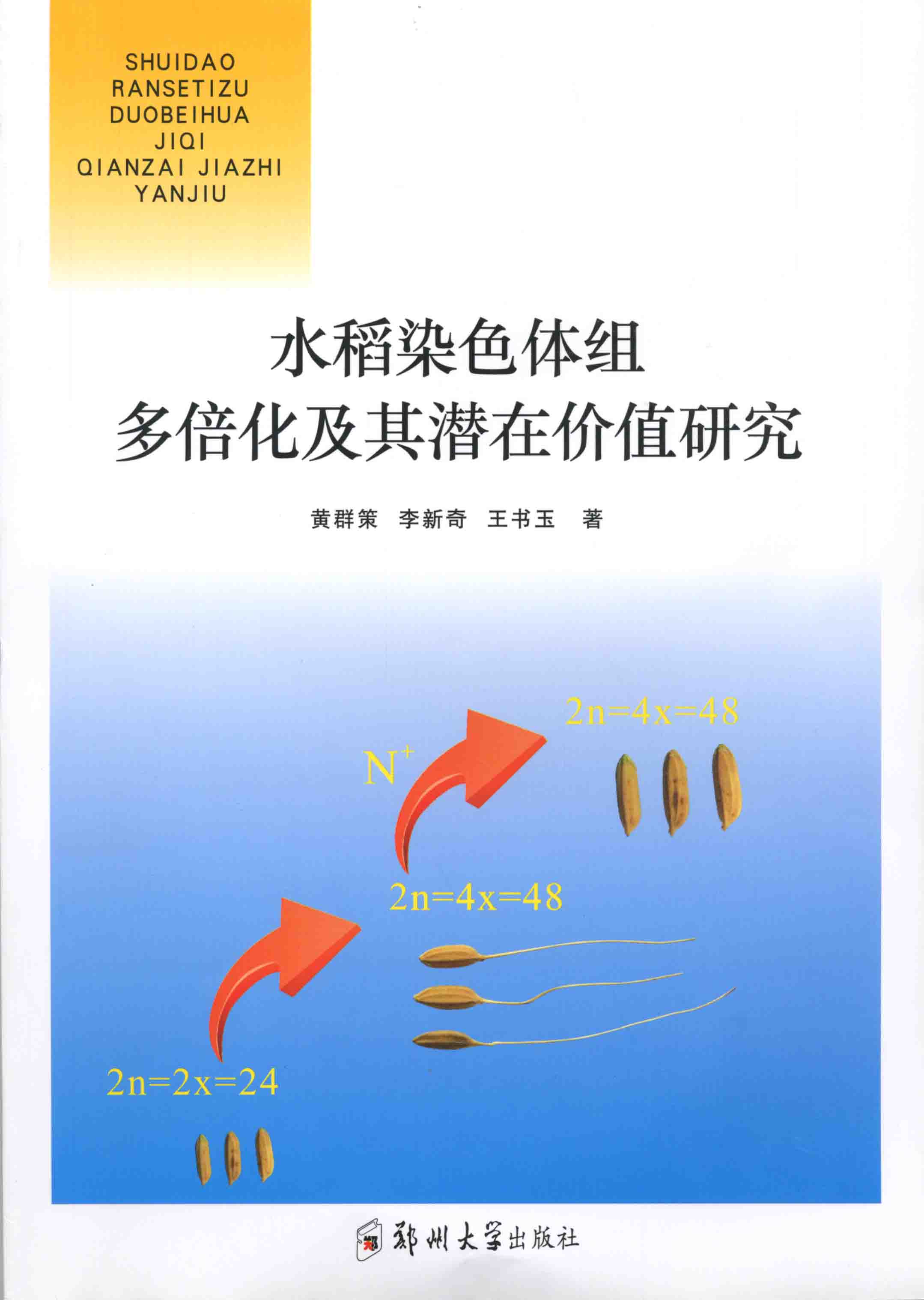  水稻染色體組多倍化及其潛在價值研究