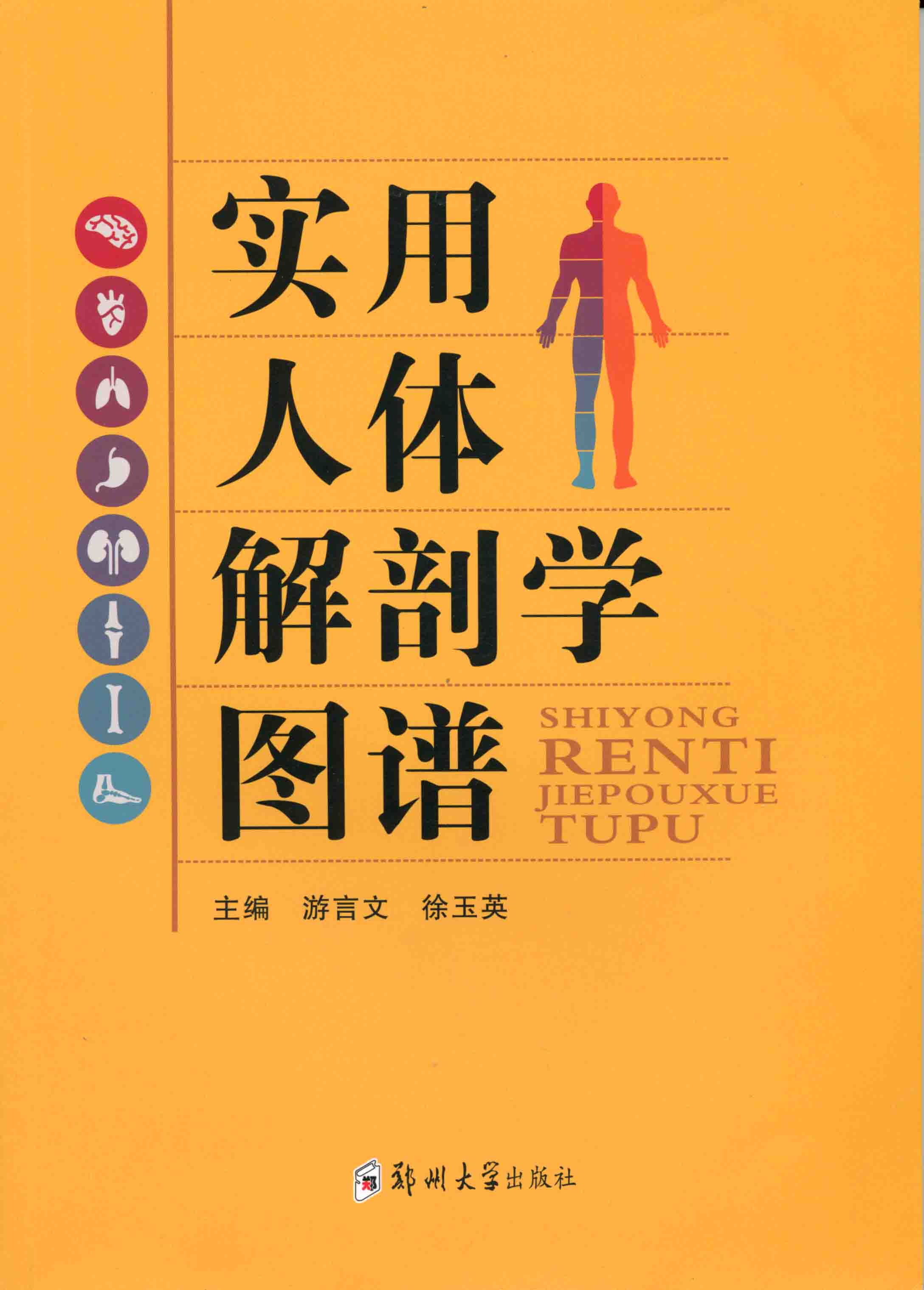 實用人體解剖學圖譜