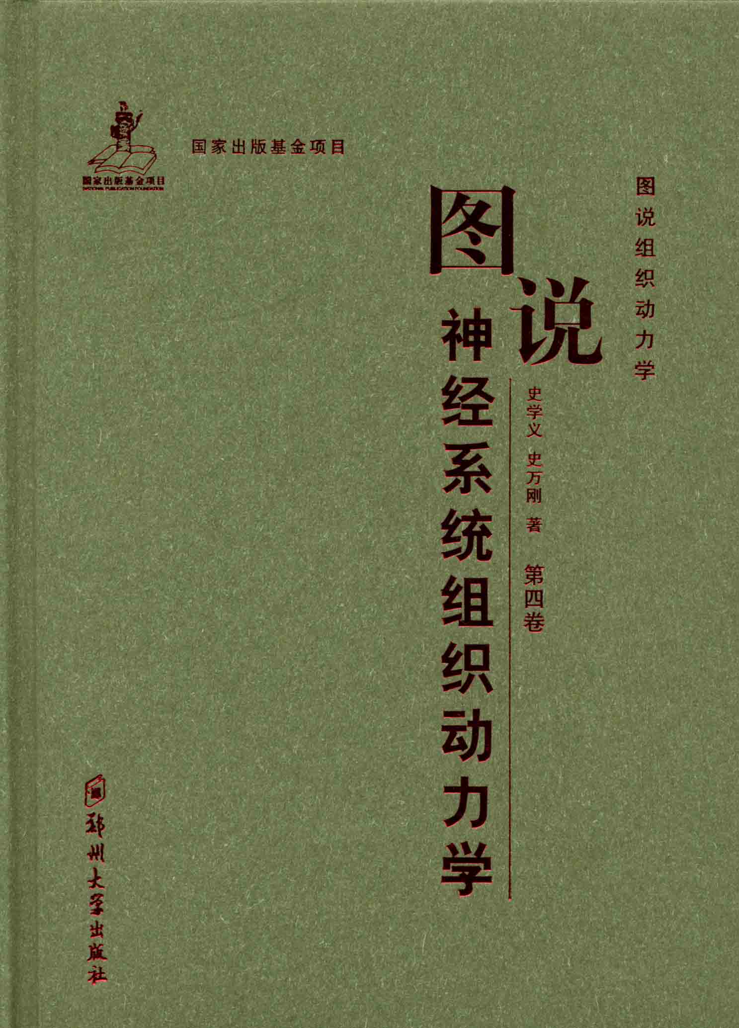 圖說神經系統組織動力學