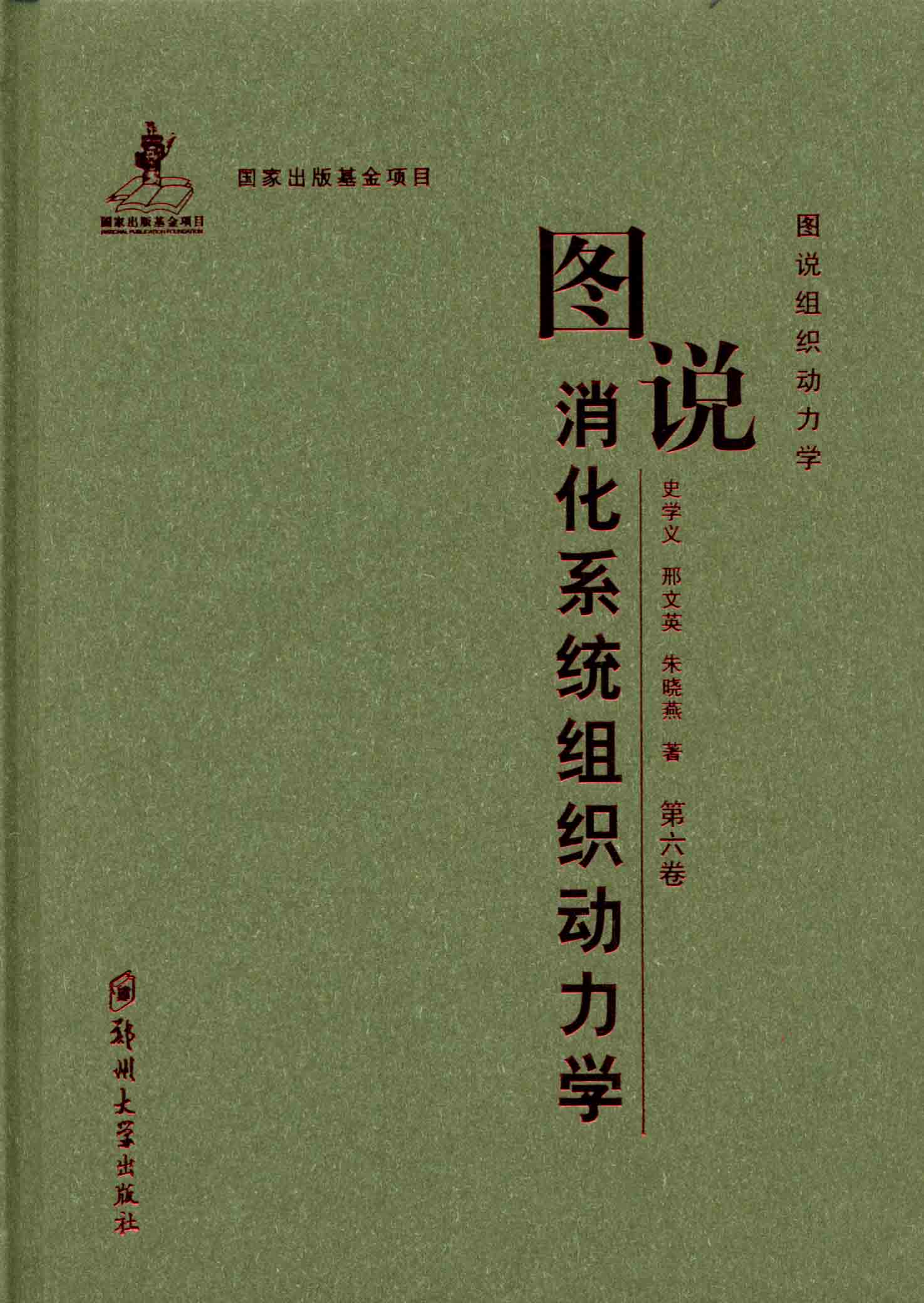 圖說消化系統組織動力學